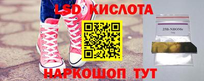Альфа ПВП Будённовск