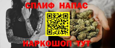 Альфа ПВП Будённовск