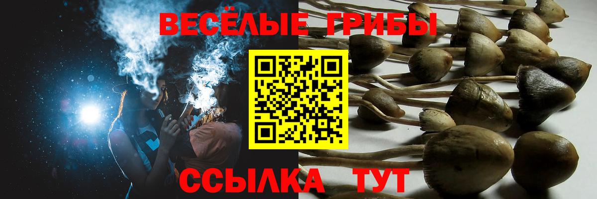 Галлюциногенные грибы MAGIC MUSHROOMS Майский